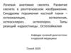 Синдромы  поражения  костной  ткани  –  остеомаляция,  остеопения,  остеосклероз,  остеопороз. Типы  реакций  надкостницы