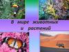 В мире животных и растений