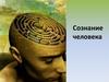 Сознание человека