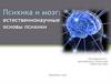 Психика и мозг: естественнонаучные основы психики