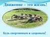Движение – это жизнь!