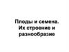 Плоды и семена. Их строение и разнообразие