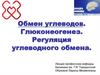 Обмен углеводов. Глюконеогенез. Регуляция углеводного обмена