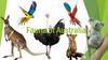 Fauna of Australia