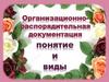 Организационно-распорядительная документация: понятие и виды