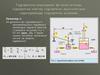 Гідравлічне керування. Фізичні основи, гідравлічні помпи, гідравлічні акумулятори, гідроприводи, гідравлічні клапани