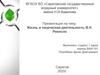 Жизнь и творческая деятельность В.Н. Ремесло