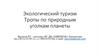 Экологический туризм. Тропы по природным уголкам планеты