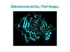 Аминокислоты, пептиды. Лекция 2