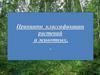 Принципы классификации растений и животных,