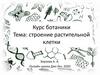 Строение растительной клетки