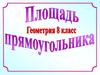 Площадь прямоугольника. 8 класс