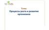 Процессы роста и развития организмов