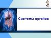 Системы органов