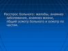 Расспрос больного: жалобы, анамнез заболевания, анамнез жизни, общий осмотр больного и осмотр по частям