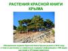 Растения Красной книги Крыма