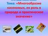 Многообразие насекомых, их роль в природе и практическое значение