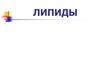 Липиды