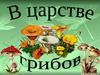 Загадочный мир грибов