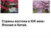 Страны Востока в XIX веке: Япония и Китай