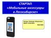 Стартап «Мобильные аксессуары в Лесосибирске»