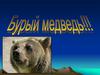Бурый медведь