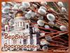 Вербное Воскресенье