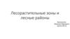 Лесорастительные зоны