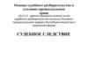Судебное разбирательство в уголовно-процессуальном праве. Судебное следствие