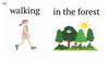 Walking in the forest