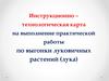 Инструкционно–технологическая карта на выполнение практической работы по выгонки луковичных растений (лука)