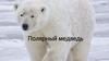 Полярный медведь
