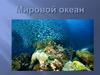 Мировой океан