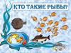 Кто такие рыбы