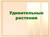 Удивительные растения
