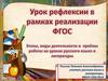 Урок рефлексии в рамках реализации ФГОС