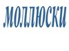 Моллюски