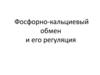 Фосфорно-кальциевый обмен у человека и его регуляция