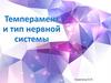 Тип нервной системы