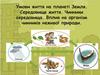 Умови життя на планеті Земля. Середовище життя. Чинники середовища