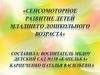 Сенсомоторное развитие детей младшего дошкольного возраста
