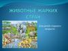 Животные жарких стран. Старшая группа