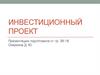 Инвестиционный проект