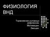 Физиология ВНД