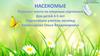 Насекомые. Пересказ текста по опорным картинкам для детей 4-5 лет