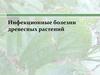 Инфекционные болезни древесных растений. Лесная фитопатология. занятие 2