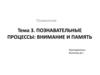 Познавательные процессы: внимание и память