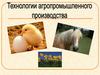 Технология промышленного производства