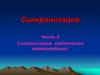 Синхронизация хаотических автоколебаний. Часть 2