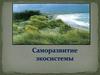 Саморазвитие экосистемы